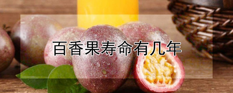 百香果寿命有几年（百香果树寿命有几年）