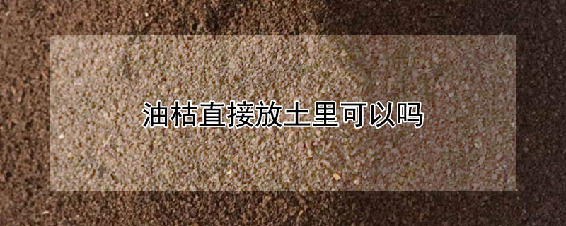 油枯直接放土里可以吗 油枯可以直接加在土里吗