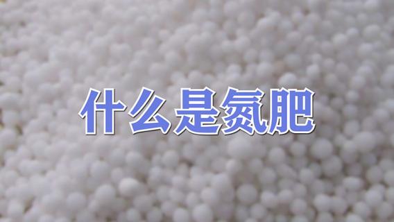 什么是氮肥 什么是氮肥磷肥钾肥复合肥