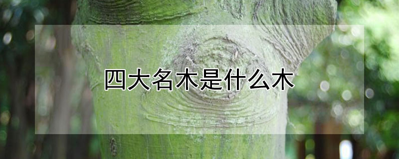 四大名木是什么木 四大名木是什么木生长期是几年