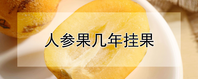 人参果几年挂果 人参果几年挂果最好