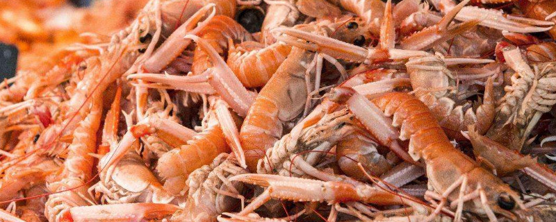 怎样用虾壳做花肥（怎样用虾壳做花肥好吃）