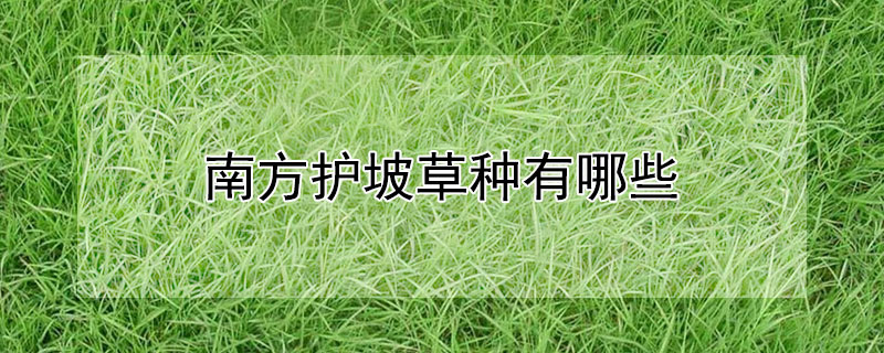 南方护坡草种有哪些（南方护坡草种有哪些）