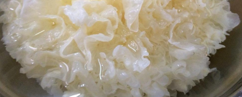 白色木耳叫什么（白色木耳叫什么?）