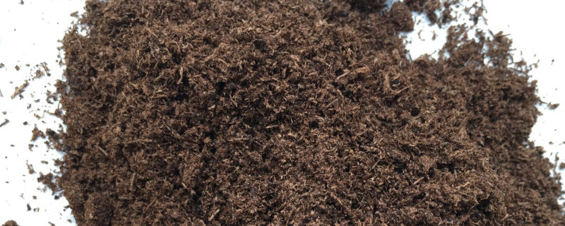 泥炭和草炭的区别（泥炭和草炭的区别是什么）