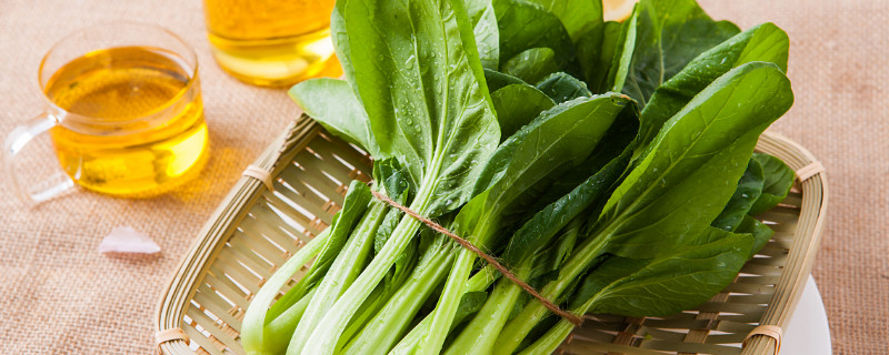 青菜是植物吗 青菜是什么类植物