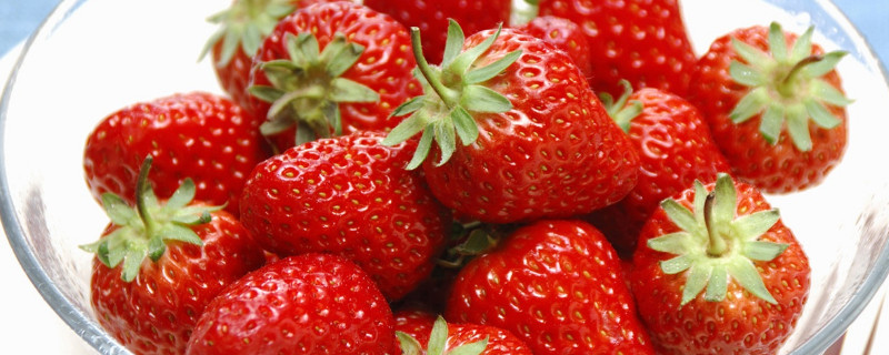 草莓缺钙是什么症状 草莓缺钙的症状