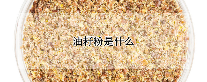 油籽粉是什么（油籽都有哪些）