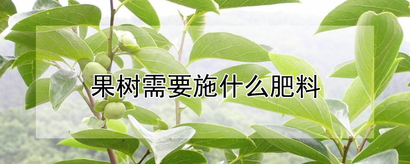 果树需要施什么肥料 果树施什么肥料最好