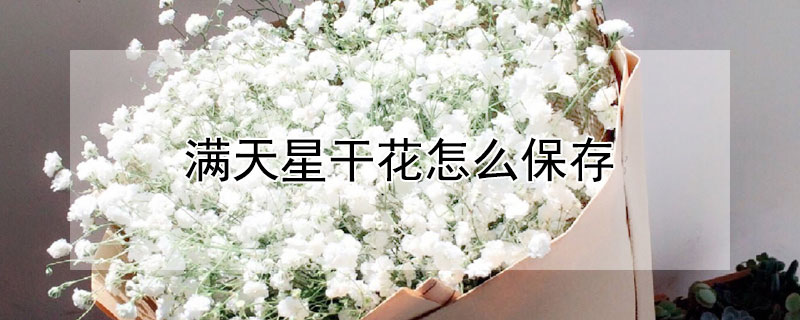 满天星干花怎么保存 满天星干花怎么保存能久点