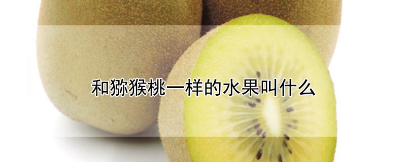 和猕猴桃一样的水果叫什么 猕猴桃一样的水果叫什么名字