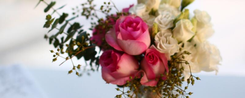 夏季如何养鲜花 夏季如何养鲜花的技巧