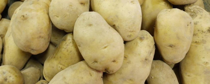 春种土豆什么时候收 春节种的土豆什么时候收