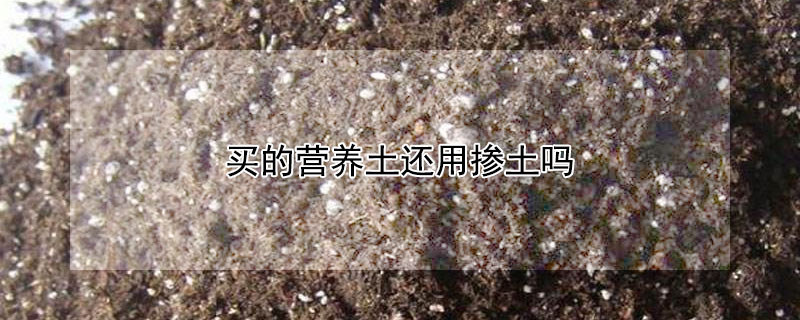 买的营养土还用掺土吗（买的营养土还用掺土吗 可以直接使用吗）