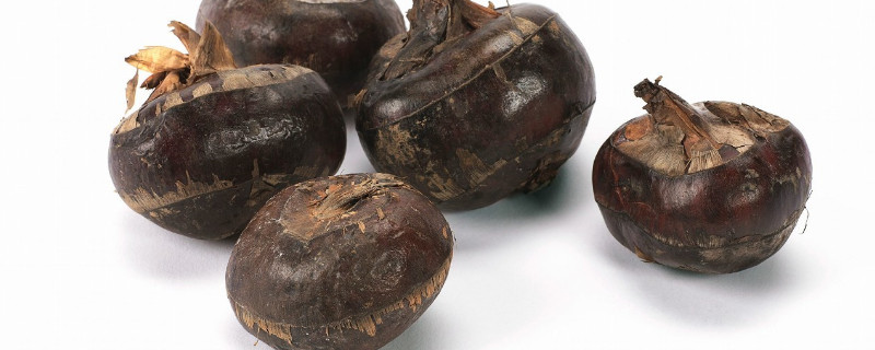 马蹄是属于水果还是蔬菜 马蹄属于蔬菜吗