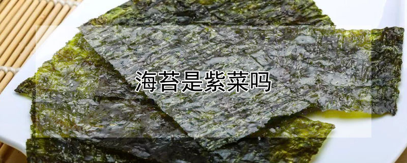 海苔是紫菜吗 海苔是紫菜吗?功效?