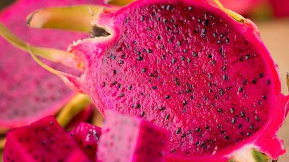 火龙果红心和白心区别