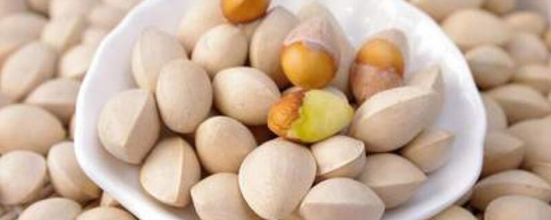 白果怎么抽心（白果怎样抽心）