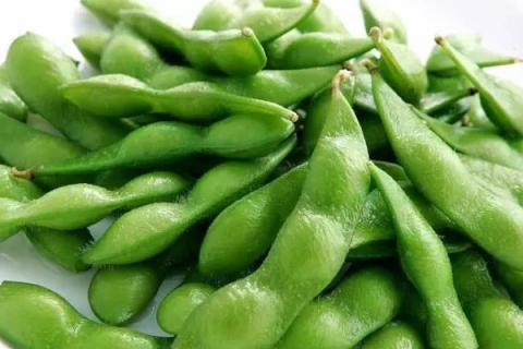 5月份适合种什么菜