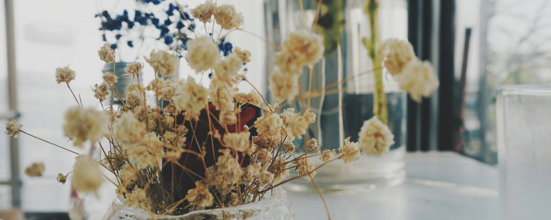 满天星送恋人可以吗（满天星可以送女朋友吗?）