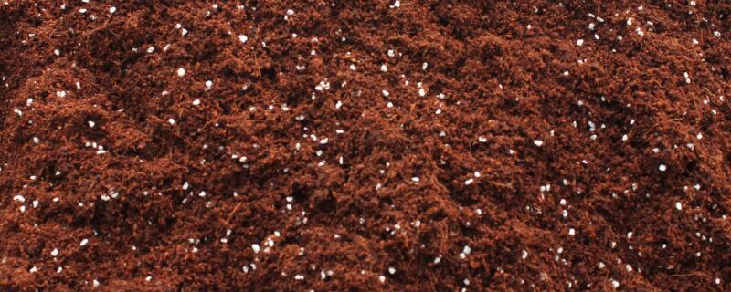 椰糠可以掺土使用吗（椰糠可以掺土使用吗有毒吗）