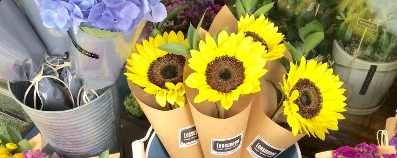 男朋友生日送什么花 女性朋友生日送什么花好