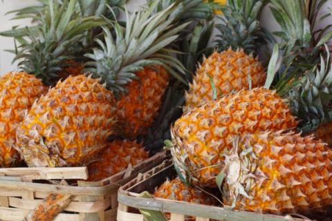 菠萝和凤梨的区别