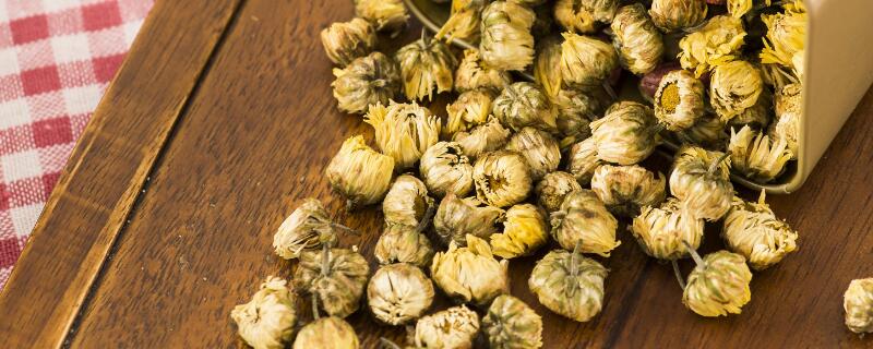 胎菊和菊花的区别 胎菊的副作用太大了