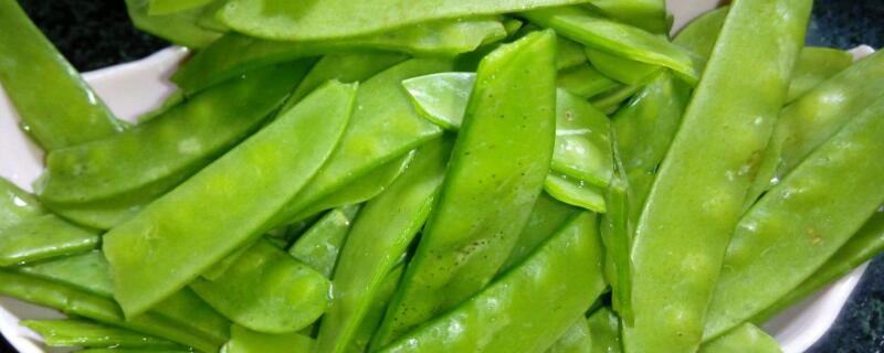 荷兰豆有毒吗（荷兰豆煮多久才熟）