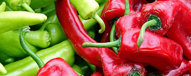 青椒红椒的区别 青椒红椒的区别是什么