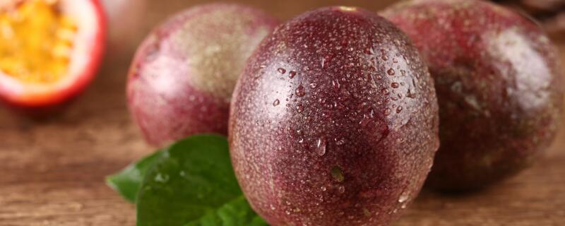 西番莲和百香果的区别（西番莲和百香果的区别图片）