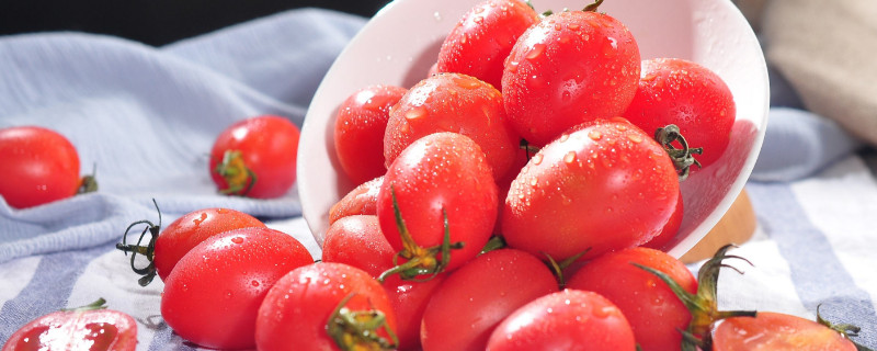 圣女果是转基因的吗 小番茄圣女果是转基因的吗