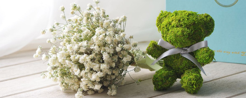 满天星干花能保持多久 满天星干花能保持多久不掉色