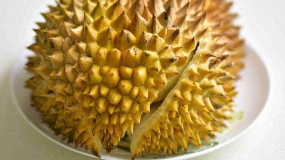 榴莲怎么开 榴莲怎么开壳