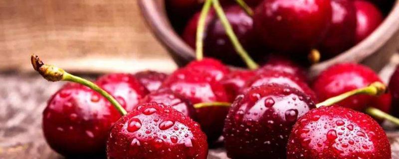 车厘子怎么洗才容易干净 车厘子怎么洗才干净又不坏