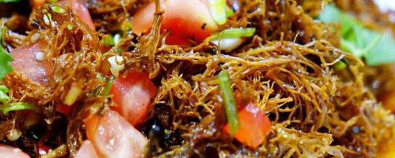 树毛衣菜的功效（树毛菜怎么吃）