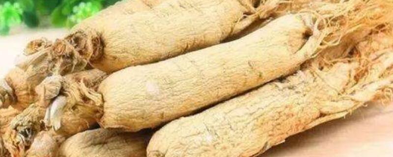 白参和西洋参的区别（人参和西洋参有什么区别）