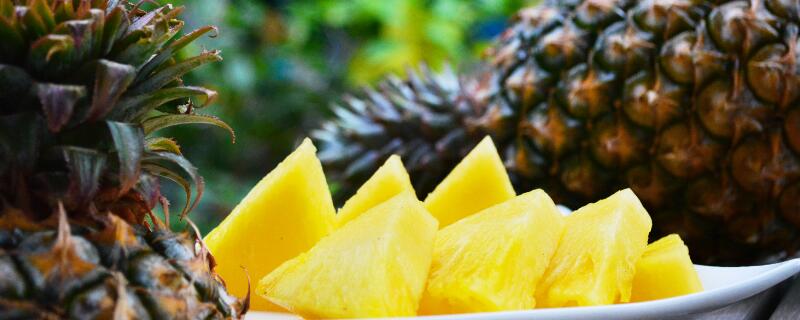 跟菠萝很像的水果 跟菠萝很像的水果叫啥