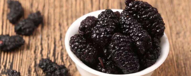 桑葚什么时候成熟季节 桑葚什么时候成熟季节吃