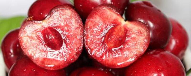 樱桃梅是什么（樱桃梅是什么水果图片）