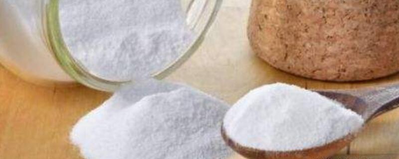 小苏打撒花盆里伤花吗 小苏打可以养花吗?具体对养花有哪些作用?