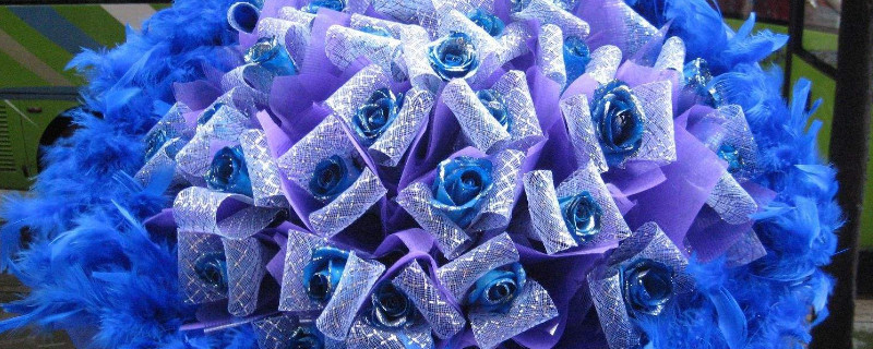 蓝色妖姬能保存多久 蓝色妖姬保存时间