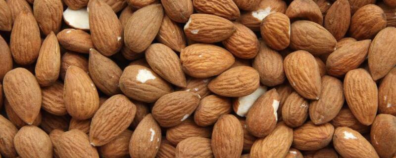 杏仁怎样才能发芽成苗 怎样种杏仁出芽快