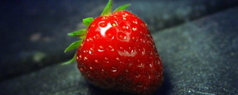 草莓怎样压苗（草莓苗压苗用什么药）