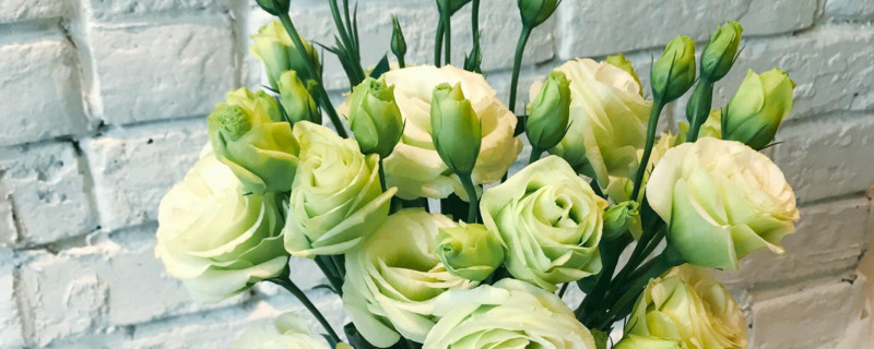 洋桔梗水养可以养多久 洋桔梗放水里怎么养