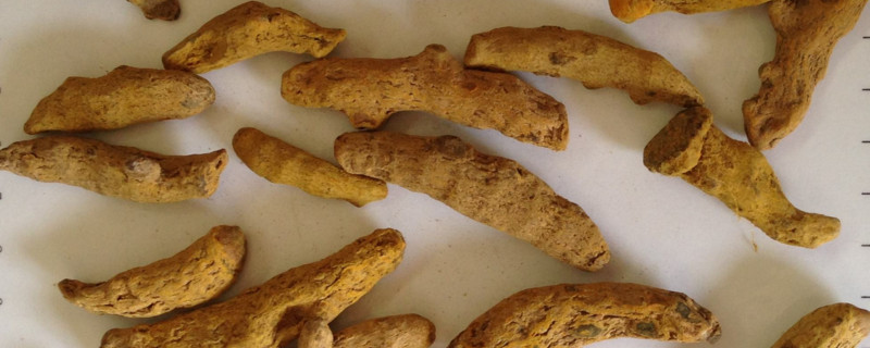 姜黄和生姜的区别（姜黄）