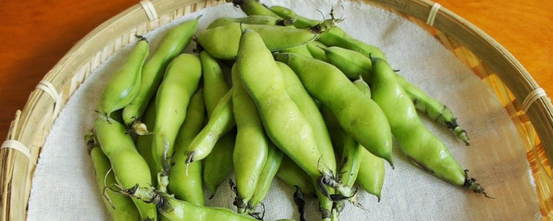 蚕豆壳怎么做花肥（蚕豆壳可以做花肥吗）