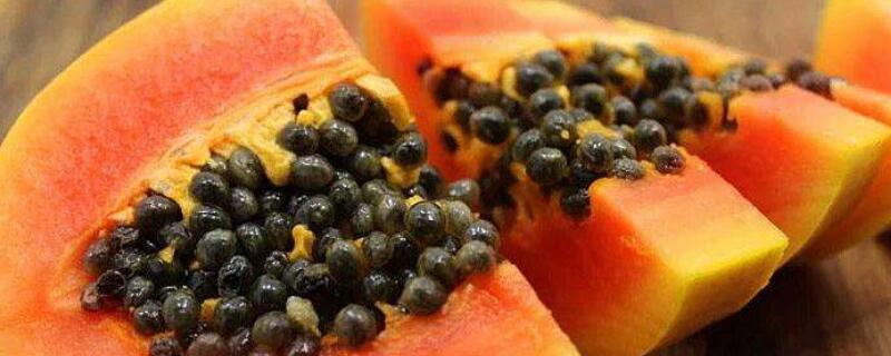 红心木瓜的种植和管理 红心木瓜的种植和管理视频