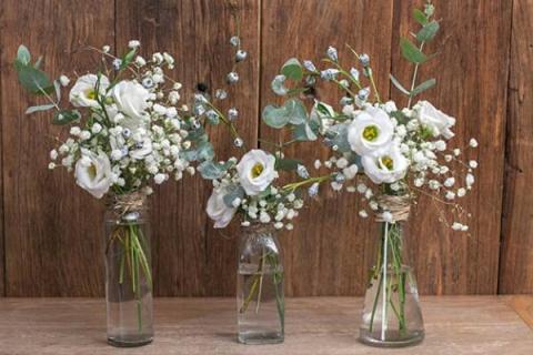 满天星叶子发黄发干怎么回事