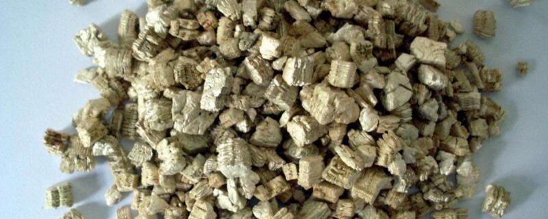 蛭石拌土能养花吗（蛭石拌土能养花吗视频）